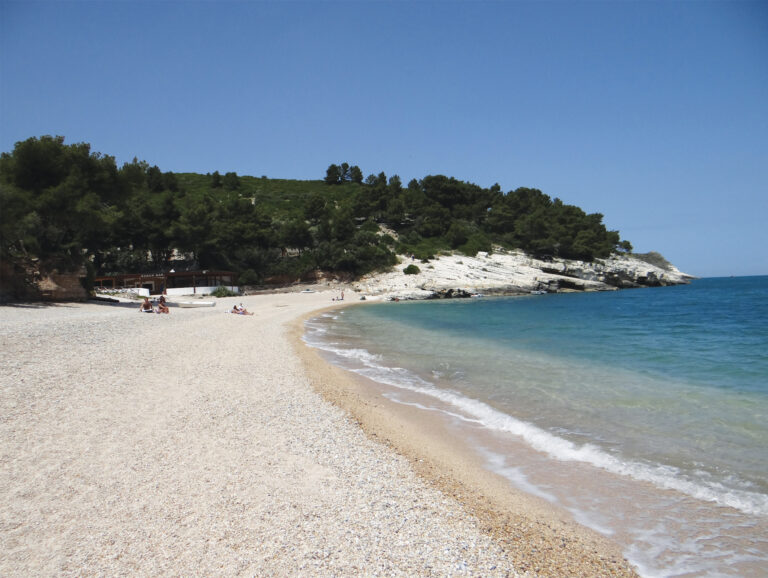 Stessa spiaggia stesso mare