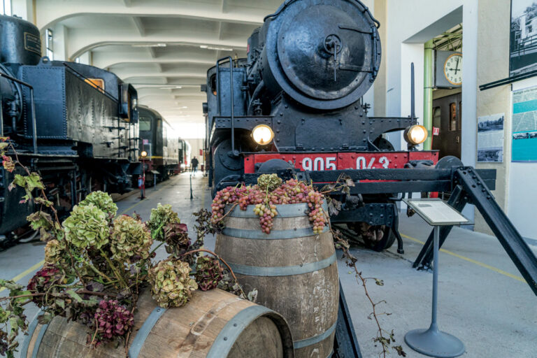 Il Salento WINE TRAIN tra vigneti e cantine